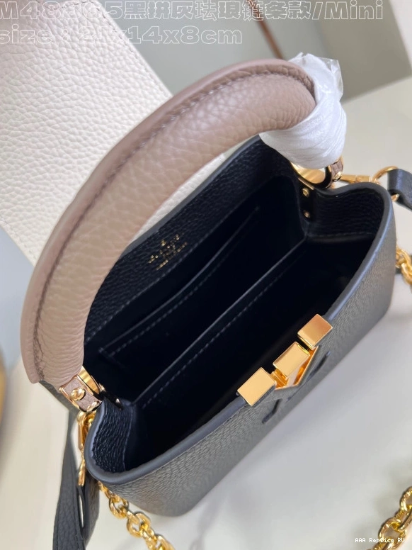 Aaa replica bags MINI-21*14*8CM VUITTON LOUIS CAPUCINES 0810
